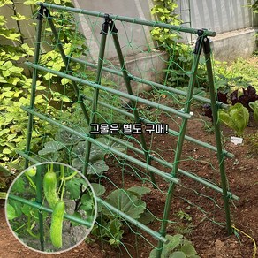 텃밭 지지대 식물지지대 오이 토마토 넝쿨 화분 화초 지주대, 11mm, L180cm x H180cm, 1개