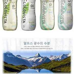 에코 로비스타 샴푸 린스 트리트먼트 촉촉한 머릿결, 모이스트 스파 샴푸 500ml, 1개