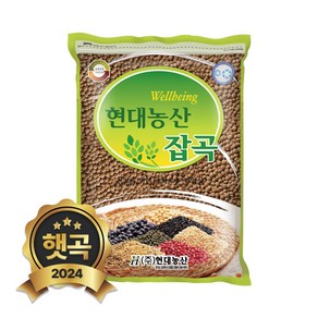 현대농산 갈색렌틸콩 1kg 렌즈콩, 1개