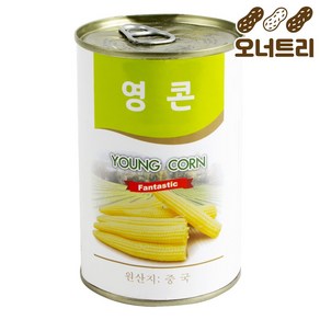 영콘 (대화 425g)