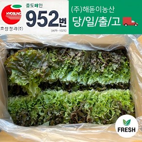 <해돋이농산> 꽃상추 2kg내외 4kg내외(상), 2kg, 1박스