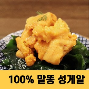 성게알 우니 청정지역 말똥성게알 실중량 100g, 1개