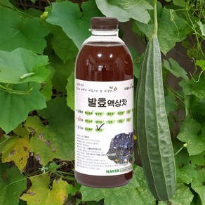 자연미가 수세미 효소액 1000mlx1병 /ss 자연숙성 발효액100%, 1000ml x1병, 1개