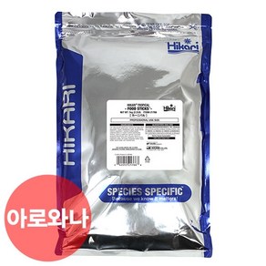 히카리 카니발 아로와나 1kg, 1개