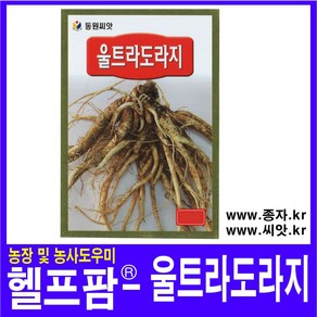 헬프팜 울트라도라지 1000립 종자 씨앗 동원농산종묘, 1개