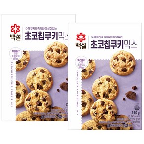 (상온)백설 초코칩쿠키믹스290g, 290g, 2개