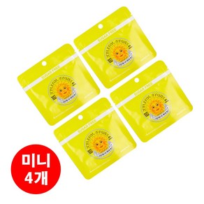 자일리톨 스톤 미니 지퍼백 레몬 30그램 묶음 세트, 30g, 4개