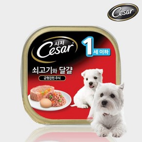 시저 1세이하 퍼피 쇠고기 계란 캔 100g, 1개