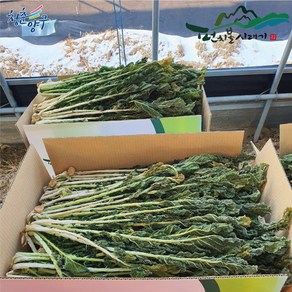 [숙이네농장] 강원도 양구펀치볼시래기 500g 1kg 건시래기 무청 햇시래기, 1박스