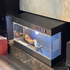 파충류 아크릴 사육장 육지거북 렉사 크레스티드게코 타란튤라 애완용 비어디드래곤 도마뱀 집, 60x40x40, 1개