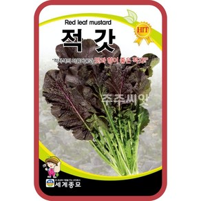 적갓 씨앗 Leaf Mustad seed 갓 김장 잎 채소 종자, 1개