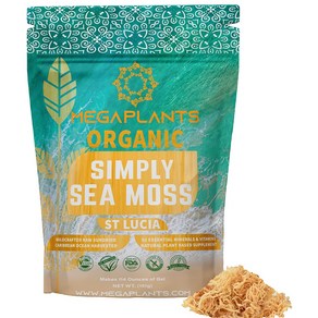 메가플랜츠 바다 이끼 스무디 음료 Sea moss 151g, 1개