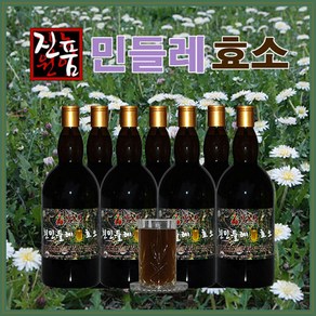 장녹원 민들레효소 1100ml, 1개