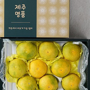 제주 감귤 황금향 선물용 2kg 3kg 5kg 선물세트, 1박스, 선물용 특품 3kg (4-12과)