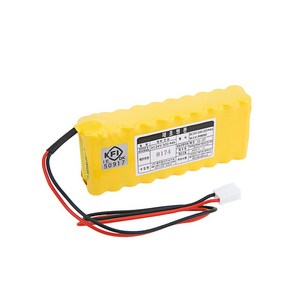 케이원 포레소 소방예비전원 DC 24V AAA 300mAh (2x10), 1개