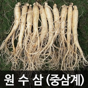 청명네이처 금산인삼 수삼 (원수삼) 중삼계 (375g) (15~23뿌리), 1개