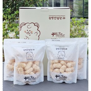 전대표 전통발효 청양 구기자 한과 / HACCP 수제한과, 1개, 400g