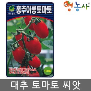 홍추아롱 토마토씨앗 100립 대추 방울 토마토씨 종자 키우기 영농사, 1개