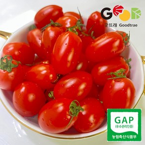 새콤푸룻 GAP인증 대추 방울토마토 농협선별 산지직송, 1박스, 2kg(1~3번 혼합)