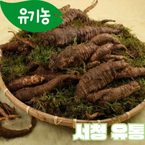 [서청유통] 유기농 강원도 정선 산더덕, 1박스, 1kg(중)