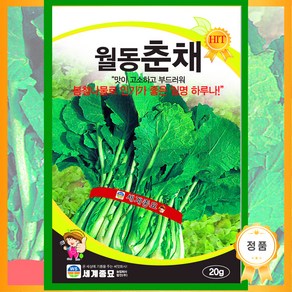 [모종심는아빠] 맛이 고소하고 부드러워 봄나물로 좋은 월동춘채 종자 20g, 1개