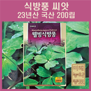 미래종묘 웰빙식방풍 씨앗 200립- 약용식물 산나물 민속채소