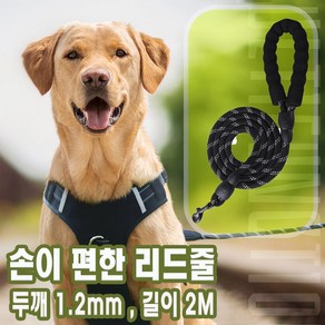 코코노피 강아지리드줄 목줄 강아지산책줄 소형견 중형견 대형견 애견 반려견 로프 리드줄 [ 12mm - 2 M }, 블랙, 1개