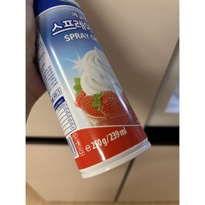 무가당 휘핑크림 스프레이 갸또 가나슈 베트남 소금커피 만들기 250g