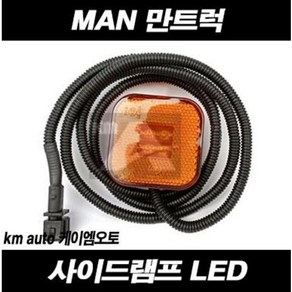 만트럭 사이드램프 LED TGX TGS TGA, 1개