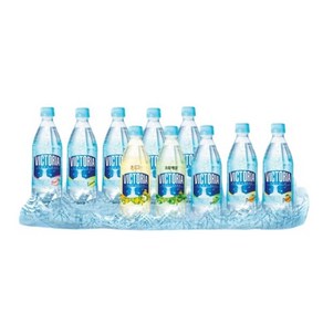 더빅토리아 탄산음료/탄산음료 500ml 20+20펫, 플레인20+청포도20