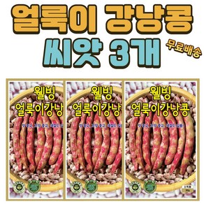 씨앗팜 얼룩이 강낭콩씨앗 3개(30gx3) 비덩굴성 콩씨앗, 3개