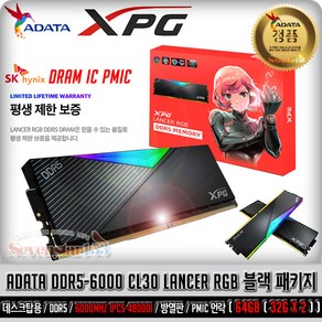 ADATA ADATA DDR5-6000 CL30 LANCER RGB 블랙 패키지 서린 (64GB(32Gx2)) ~SS153, 2개