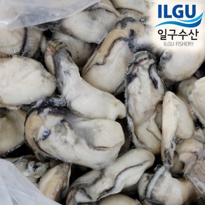 [일구수산]싱싱한 통영 냉동굴 (iqf) (조리용)/산지/직접생산, 냉동굴 IQF 1kg, 6개