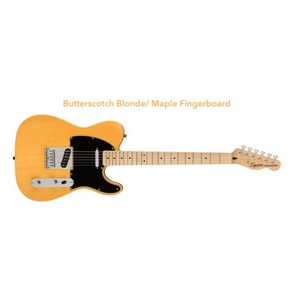 FENDER SQUIER AFFINITY SERIES TELECASTER 팬더 스콰이어 인피니티 텔레케스터 BUTTERSCOTCH BLONDE