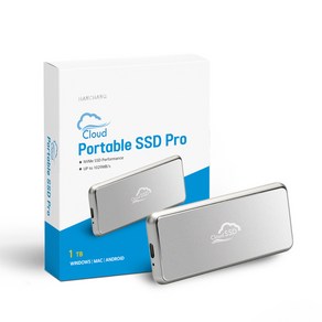 한창코퍼레이션 Potable M.2 NVME SSD 외장하드 / 실버 / 500GB, 실버(단일)