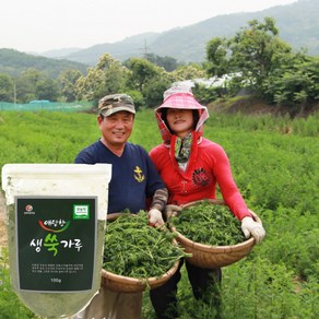 강화약쑥 고운 생 쑥가루 100g 무농약 쑥분말 라떼 쉐이크 유기농 강화약쑥 원재료, 1개