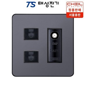 제일전기 디아트 메탈그레이 8P 2구 + CATV 3방(2개용), 1개