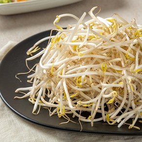 자연진리 천연암반수 아삭아삭 숙주나물 1kg 2kg 4kg