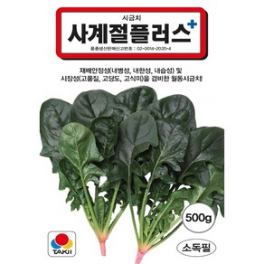 (씨앗) 사계절 플러스 시금치 (소립종) - 사계절 시금치 개량종 - 남해안 재배 품종 - 전문가용 대포장 - 500g, 1개