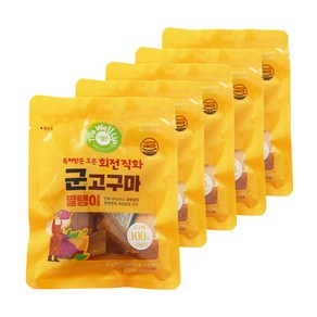 더웰업 군고구마 말랭이(60gx5봉입) 300g