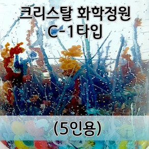 크리스탈화학정원만들기 C-1타입(5인) aco-188 오피스안