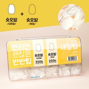 엔리안 괜찮은 반반팁 250팁+250팁, 옵션2.숏오발+레귤러, 2개