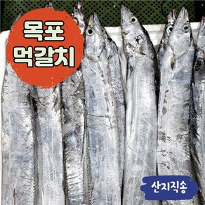 목포 갈치 생물 먹갈치 실속형(6~8마리 2kg) 가정용(5마리 1.4kg)