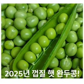 [5월한정!] 단백질폭탄 25년첫출시 국내산 껍질 햇 완두콩, 1박스, 1kg