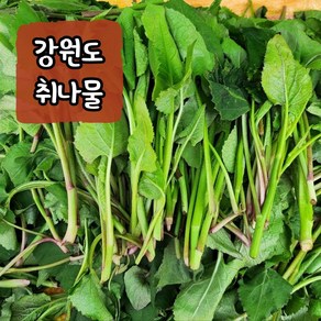 [당일채취] 청정 강원도취나물 참취나물 당일수확 산지직송 봄나물 산나물, 1개, 1kg