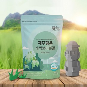 [건강한습관] 디딤푸드 제주담은 새싹보리분말, 500g, 1개