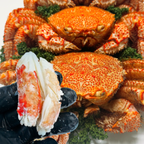 러시아 직수입 자숙 털게 자연산 크랩의 감초 찜발송, 1박스, 2.5kg(총 2미/찜발송)