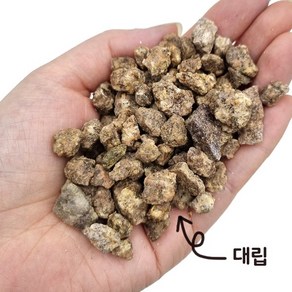 세척 마사토 2kg 세척마사 상토 배양토 난석 분갈이 흙 가든그린, 1개