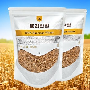 다온헬씨 고대통곡물 햇 호라산밀, 2개, 1kg