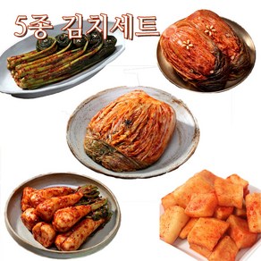 가온누리 김치 5종 세트 김치 주문 택배 5kg, 포기김치.묵은지.갓김치.석박지.총각김치, 1개